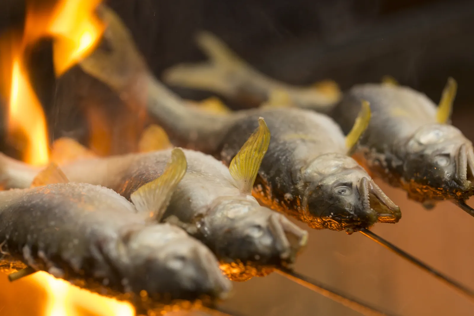 炎のそばで魚を焼き上げる、料理のひとこま